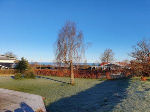 Corona - kaos, kærlighed og kreativitet