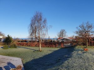 Corona - kaos, kærlighed og kreativitet