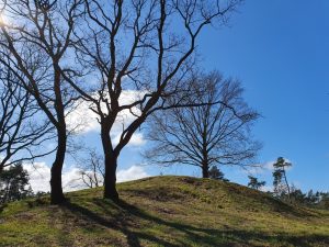 Fuglefløjt og en bange Corona knude i maven 
