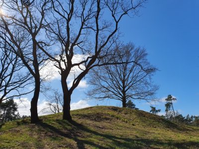 Fuglefløjt og en bange Corona knude i maven