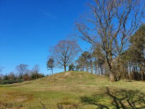 Fuglefløjt og en bange Corona knude i maven 