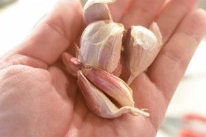 Mørbradgryde med sennep, bacon & fløde