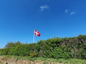 På tur i den grønne bøgeskov - skønne maj