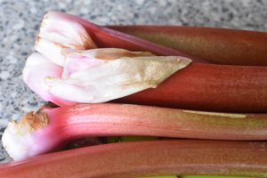 DSC_1723 • nogetiovnen.dk Rabarberkompot i ovn - bagte rabarber