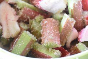 DSC_1731 • nogetiovnen.dk Rabarberkompot i ovn - bagte rabarber