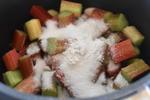 DSC_1927 • nogetiovnen.dk Rabarbersnitter med crumble topping opskrift