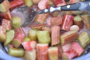 DSC_1929 • nogetiovnen.dk Rabarbersnitter med crumble topping opskrift