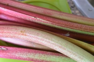 Rabarbersaft - hjemmelavet saft nem opskrift