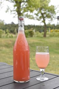 Rabarbersaft - hjemmelavet saft nem opskrift