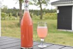Rabarbersaft - hjemmelavet saft nem opskrift