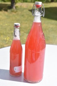 Rabarbersaft – hjemmelavet saft nem opskrift