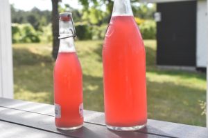 Rabarbersaft – hjemmelavet saft nem opskrift