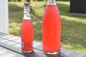 Rabarbersaft – hjemmelavet saft nem opskrift