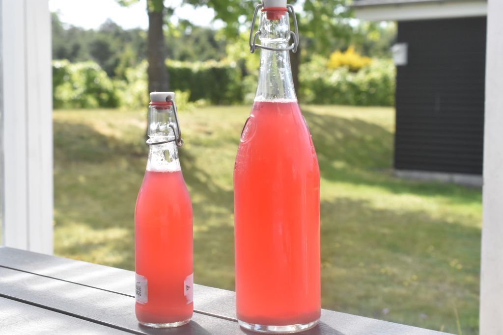 Rabarbersaft – hjemmelavet saft nem opskrift