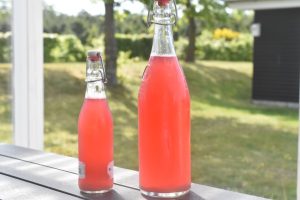 Rabarbersaft – hjemmelavet saft nem opskrift