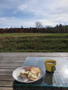 Sommerhus under Corona - et åndehul