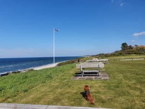 Sommerhus under Corona - et åndehul 