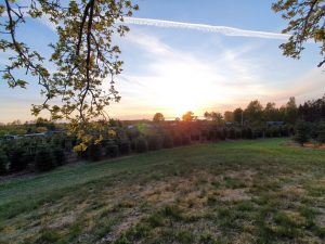 Sommerhus under Corona - et åndehul 