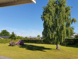 Sommerhus under Corona - et åndehul 