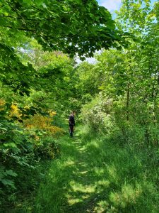 Sommerhus under Corona - et åndehul 