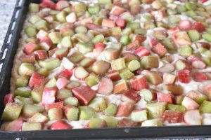 DSC_2444 • nogetiovnen.dk Rabarberkage uden æg - bradepandekage