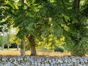Løvenholm Gods på Djursland - på sommertur