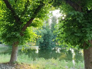 Løvenholm Gods på Djursland - på sommertur