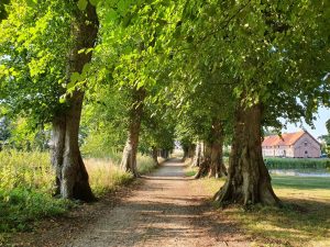 Løvenholm Gods på Djursland - på sommertur