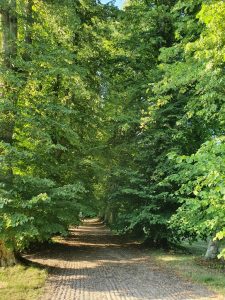 Løvenholm Gods på Djursland - på sommertur