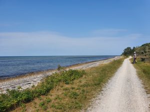 Elcykel - frihed på to hjul - på tur ud i det blå