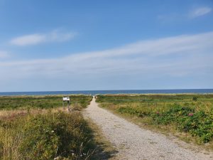 2020-08-11 16.48.48 • nogetiovnen.dk Elcykel - frihed på to hjul - på tur ud i det blå