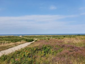 2020-08-11 16.49.37 • nogetiovnen.dk Elcykel - frihed på to hjul - på tur ud i det blå