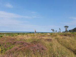2020-08-11 16.49.39 • nogetiovnen.dk Elcykel - frihed på to hjul - på tur ud i det blå