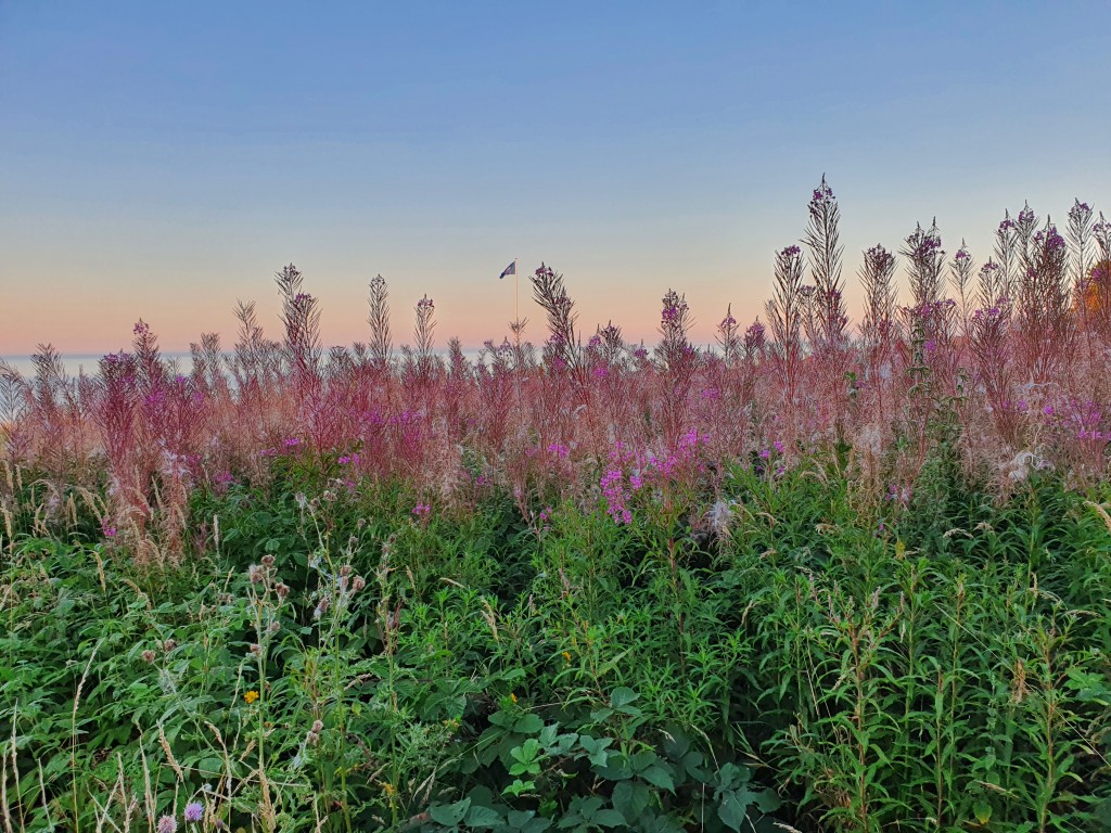 Ferie og god tid til....