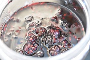 DSC_0009 • nogetiovnen.dk Brombærkompot - nem kompot med brombær