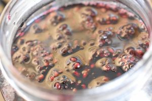 DSC_0011 • nogetiovnen.dk Brombærkompot - nem kompot med brombær