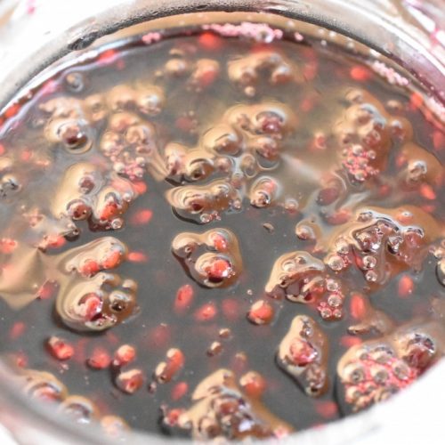 Brombærkompot - nem kompot med brombær