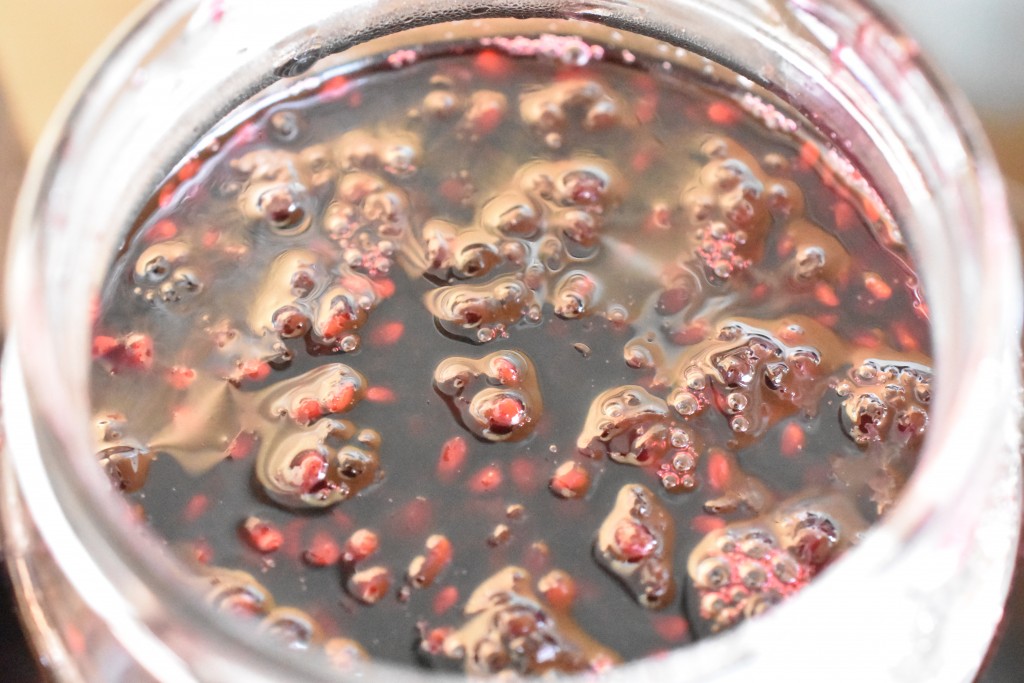 DSC_0012 • nogetiovnen.dk Brombærkompot - nem kompot med brombær