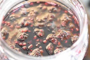 DSC_0014 • nogetiovnen.dk Brombærkompot - nem kompot med brombær