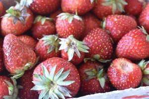 Jordbærkompot til skyr og dessert nem opskrift