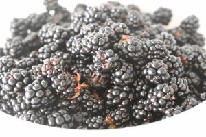 Brombærkage - god nem kage med brombær