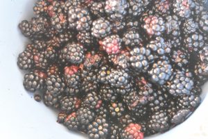 Brombær opskrifter - kager og søde sager