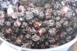 DSC_2829 • nogetiovnen.dk Brombærkompot - nem kompot med brombær