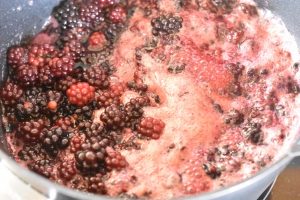 DSC_2830 • nogetiovnen.dk Brombærkompot - nem kompot med brombær