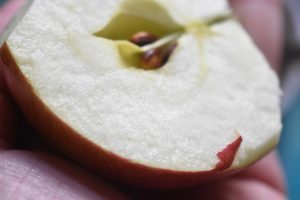 Kage i kop med æble og kanel - i mikroovn