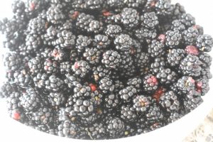 Brombærkage med æbler & marcipan opskrift