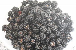 Makronmuffins med brombær - makronkager