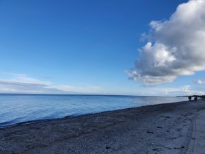 Hilsen og efterårsglimt til dig fra sommerhuset