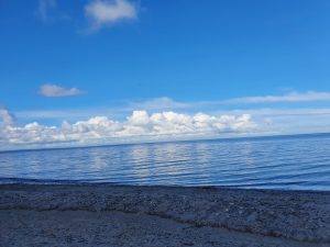 Hilsen og efterårsglimt til dig fra sommerhuset