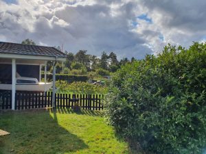 Hilsen og efterårsglimt til dig fra sommerhuset